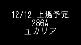 12月12日 IPO　上場予定 　286A 　ユカリア 　事業内容　解説