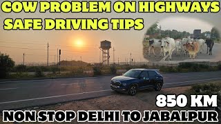 Non Stop Delhi to Jabalpur by Road | Cattle Problem in Madhya Pradesh Highways | Hyundai Creta