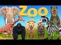 ZOO ANIMALS| Zoo Animal Song | Preschool Song | Animal Song | Kids Song #nurseryrhymes #kidslearning