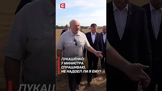 Лукашенко: Ничего, Алёна, в выходные отдохнёшь! (Архив) #shorts