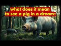 pig dream meaning what does it mean to see a pig in a dream interpretation