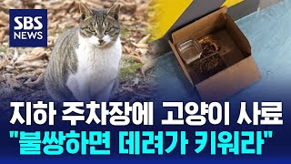 지하 주차장에 고양이 사료…\