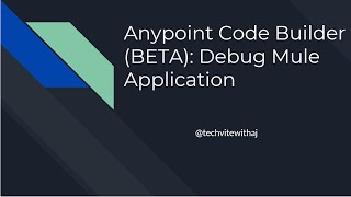 Anypoint Code Builder Beta Debug Mule Application