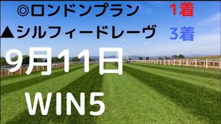 【WIN5】2022年9月11日予想❗️先週は◎ロンドンプラン1着▲シルフィードレーヴ3着❗️