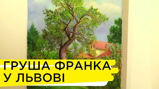 Як рятують грушу, яку посадив Іван Франко у Львові