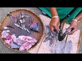 rural life of assamese community in assam india part 129 ...