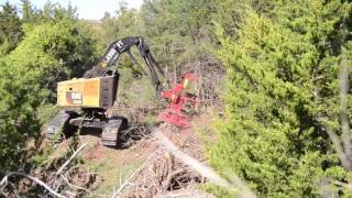 Cat 522B Feller Buncher Machine at Work in Kansas