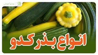 Different Types of Squash Seeds_معرفی انواع بذر های کدو