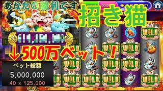 【Golden Hoyeah Slots】久々にでかいのキタ！500万ベット猫