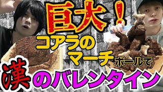 【バレンタイン】巨大コアラのマーチ! 漢のバレンタイン見せます。ちょこちゃんねる