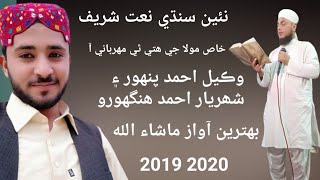 wakeel ahmad  || New sindhi naat sharif  || 2019  || 2020