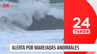 Borde costero: marejadas y fuertes vientos en Viña del mar | 24 Horas TVN Chile