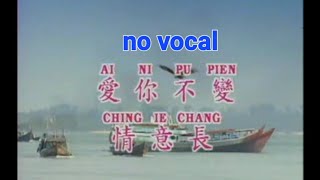 爱你不变情意长 Ai Ni Bu Bian Qing Yi Chang 伴奏 karaoke 庄学 Zhuang Xue Zhong