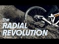 The Radial Revolution - The New Albert - Unlock The Trail