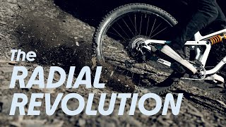 The Radial Revolution - The New Albert - Unlock The Trail