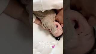 아빠 뽀뽀좀그만해요오 feat.익룡