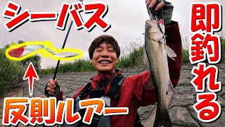 開始１分でシーバスが釣れる最強ルアー【茨城県涸沼】