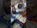 Biggest Petha Mega Factory Daily 10000kg Petha Making Rs. 90/- Only #hamirpurfood #shorts