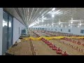 290*50 feet long EC shed fully automatic for boiler birds Dhummal