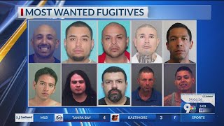 ‘Most Wanted’ fugitives for week of May 31, 2024