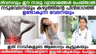 ദിവസവും ഈ 4 വ്യായാമങ്ങൾ ചെയ്താൽ നടുവേദനയും കഴുത്തിന്റെ ഓയിൻഭാഗത്തുണ്ടായ വേദനയും മാറും