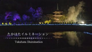 【4K】高畠町で行われた1日限定のイルミネーションがとても幻想的だった Takahata Illumination 2022【たかはたイルミネーション観光 Vlog】