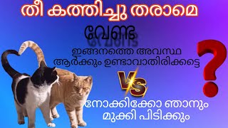 ഞാൻ തീ കത്തിച്ചു തരാമെ ?.#motivation #sindhuram #quotes #trending #inspiration #emotional #family