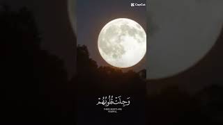 ياسر الدوسري لقطه نادره♥️♥️