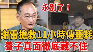 81歲謝雷搶救11小時傳來噩耗！上億家產分配讓人驚，養子拒絕急救真面徹底藏不住#謝雷 #張琪 #茶娛飯後