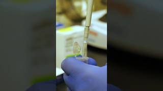 Forensic Science Week: Everyone Has a DNA Code