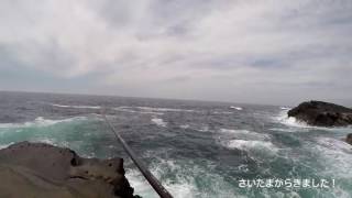 城ヶ島 浮きふかせ釣り メジナを釣る