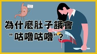 【腦充】為什麼肚子餓會\