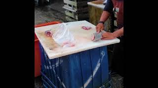 七星潭康樂漁市場代客殺魚1 #shorts ︱花蓮新城︱Valet killing fish at Kangle Fish Market︱Xincheng, Hualien, Taiwan