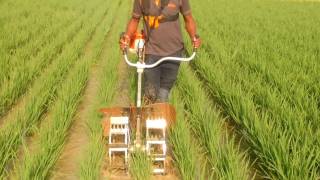 paddy weeder surya enterprises