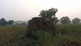 ಎಲ್ಲಾ ಘನಮಾನ ಮಹಿಮೆ