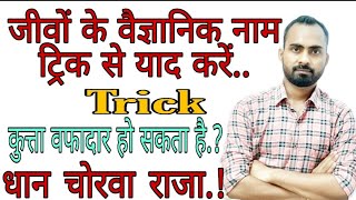 जीवों के वैज्ञानिक नाम ट्रिक से याद करे ||scientific name of species||By-Alok singh Aatish