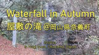 Waterfall in Autumn | 屋敷の滝 @岡山県奈義町