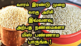 வாரம் இரண்டு முறை வரகு அரிசி இவ்வளவு அற்புத நன்மைகளா தவறாமல் பாருங்க | Kodo Millet | Health Tips