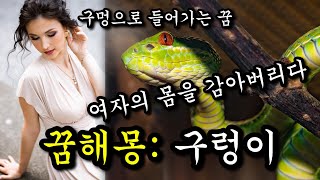 구렁이 꿈해몽 모음 - 여자의 몸을 구렁이가 감기는 꿈, 구멍 속으로 들어가는 꿈, 음침한 곳에 뱀들이 모여있는 꿈 (운수대통 길흉화복)