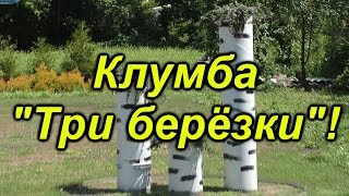 Красивая клумба \