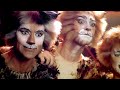 the curious cat the rum tum tugger from cats cats the musical the shows must go on