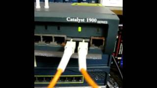SC Fiber Optic Loopback cable