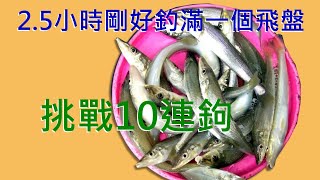 【灘釣沙梭-072】-雙春-2023-3-11