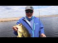 swim jigs for largemouth bass dirty jigs finesse swim jigs review