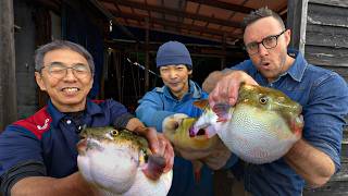 Poisonous Pufferfish Is a LIE! Here’s the Truth About Fugu in Japan