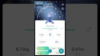 【 ポケモンgo 】2024Xmas背景アシマリ !〜コミュニティ・デイコンティニュータイムチャレンジ！【 うさぴよの巣 】#pokemongo #ポケモン