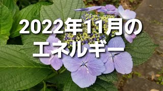 あなたの銀河系ファミリーは人類を仲間にすることを強く望んでおり、そのためには11月のエネルギーとともにやってくるこの一連のアップグレードが必要なのです。