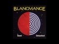 blancmange 07 useless extended version