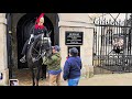 This Happened When King's Guard with a Golden Heart Let the Blind Man Pet His Horse at Horse Guards