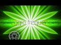 Solfeggio Frequencies Healing Meditation: 7 Chakras Meditation frequencies